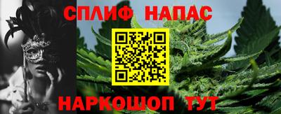 тгк Канаш