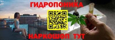 скорость Кандалакша