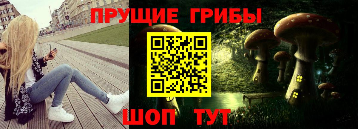 Волхов  Галлюциногенные грибы Cubensis  Галлюциногенные грибы прущие грибы  Вход с VPN 